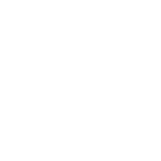 Zoroyon's emblem