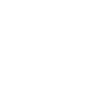 Daniikk08's emblem