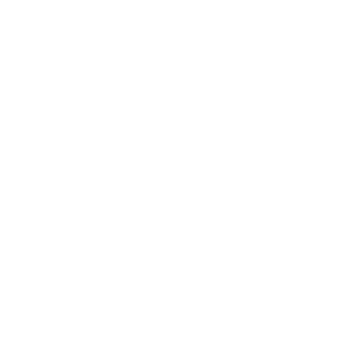Hodosevich1996's emblem