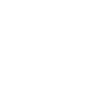 111SyLaR111's emblem