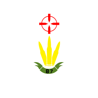 Grey_Ghost87's emblem