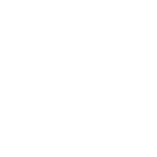 ewookiis's emblem