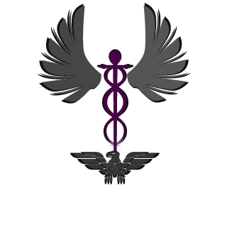 iBlack_LosT's emblem