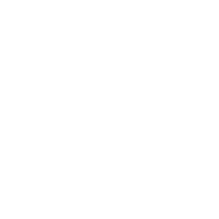 ICanFly1996's emblem