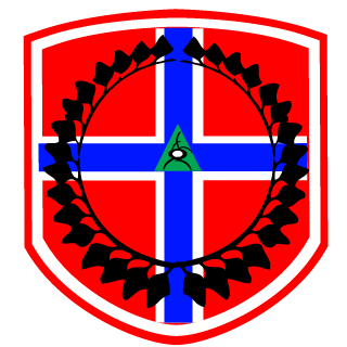 Hansen9898's emblem