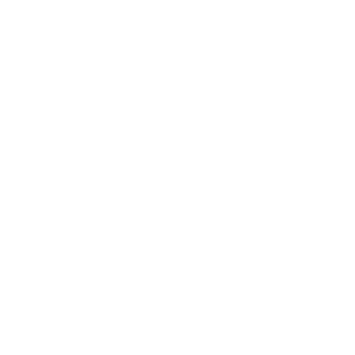 WiibSlayer's emblem