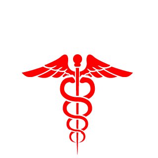 SchneewindLD's emblem