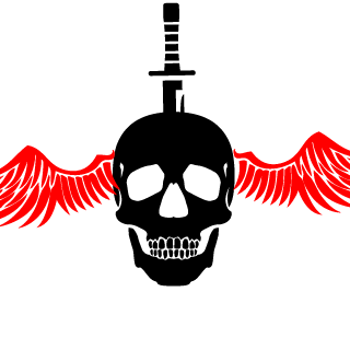 vlad2000katka's emblem