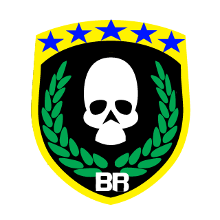 bydfa's emblem