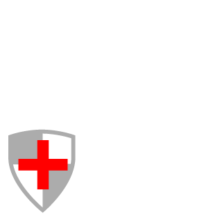 SkyOneChenjy96's emblem