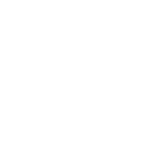 Viage's emblem