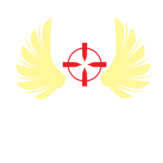 KIMDYS's emblem