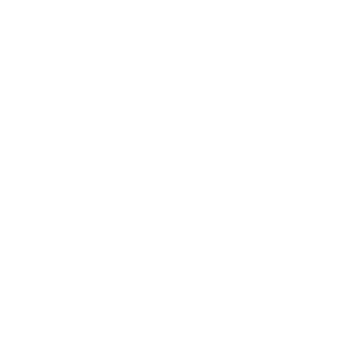 lameirafelipe's emblem