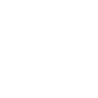 Raizen881's emblem