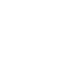 ChrisChop11's emblem
