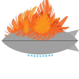 laphroaig_ten's emblem
