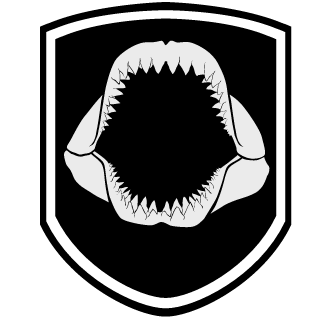 Pedrogabriel95's emblem