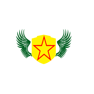 RaydenGR's emblem