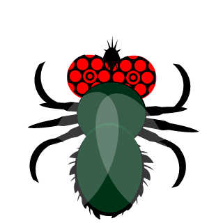 SouZa_db's emblem