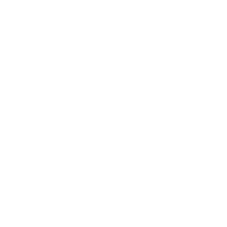 QE--ZhuJinG's emblem