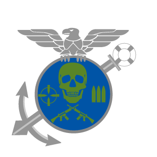 fallenvalkyrieX's emblem