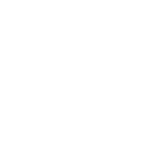 Tyraunosaurus's emblem