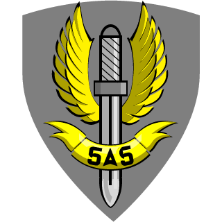 22SAS-Crazy's emblem