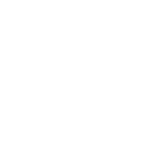 CaptianVN's emblem