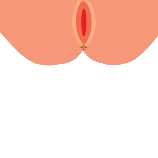 B0rden95's emblem