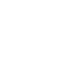 Mikk079's emblem