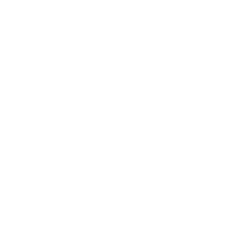 rayman0531's emblem