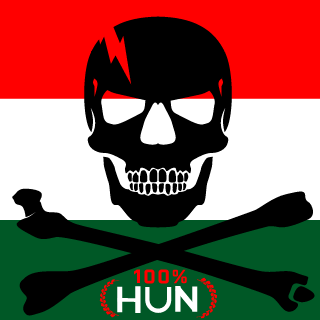 HUNVeteranS's emblem