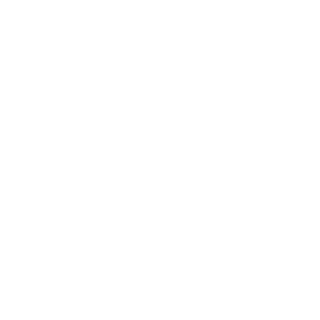 amirixx's emblem