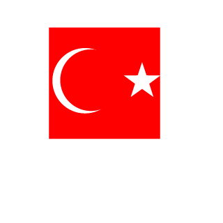 StrudleMan's emblem