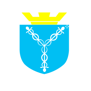BALALAISHIK's emblem