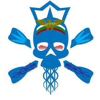zombisortbg's emblem