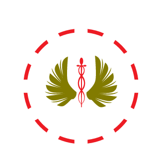 ryn006's emblem