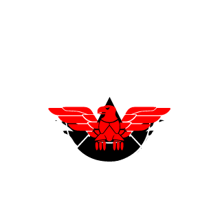 Gasparzinho178's emblem