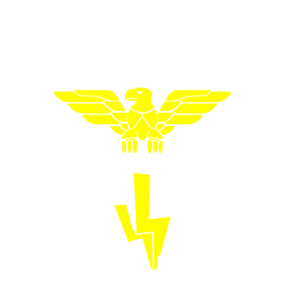 Starzsky1's emblem