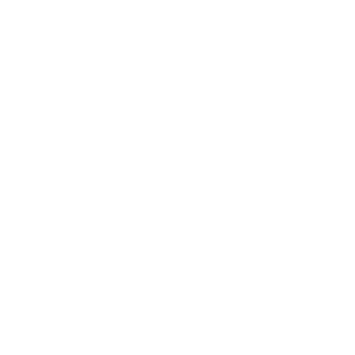 dlrz's emblem