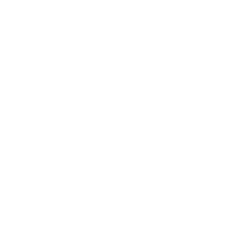 elsenorlapiz's emblem