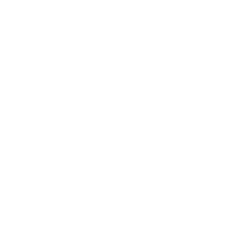 TH-InVicTus's emblem