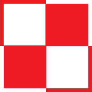 Dnamer552's emblem