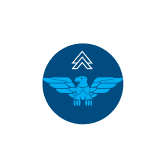 shmn_1337's emblem