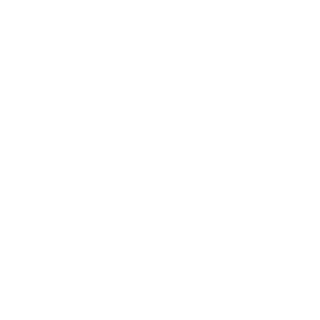 MajLeeScrewed's emblem