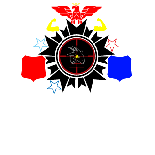 FlamingPhoenixx's emblem