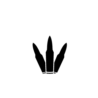 cleitonzika12's emblem