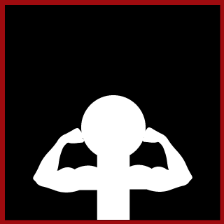 02McGrady's emblem