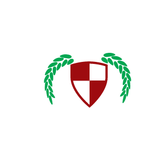00awesometexan00's emblem