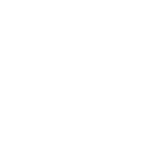 Astray_Lan's emblem
